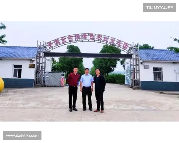 板球产业投资迅猛增长 商业资本助力赛事运营与品牌推广